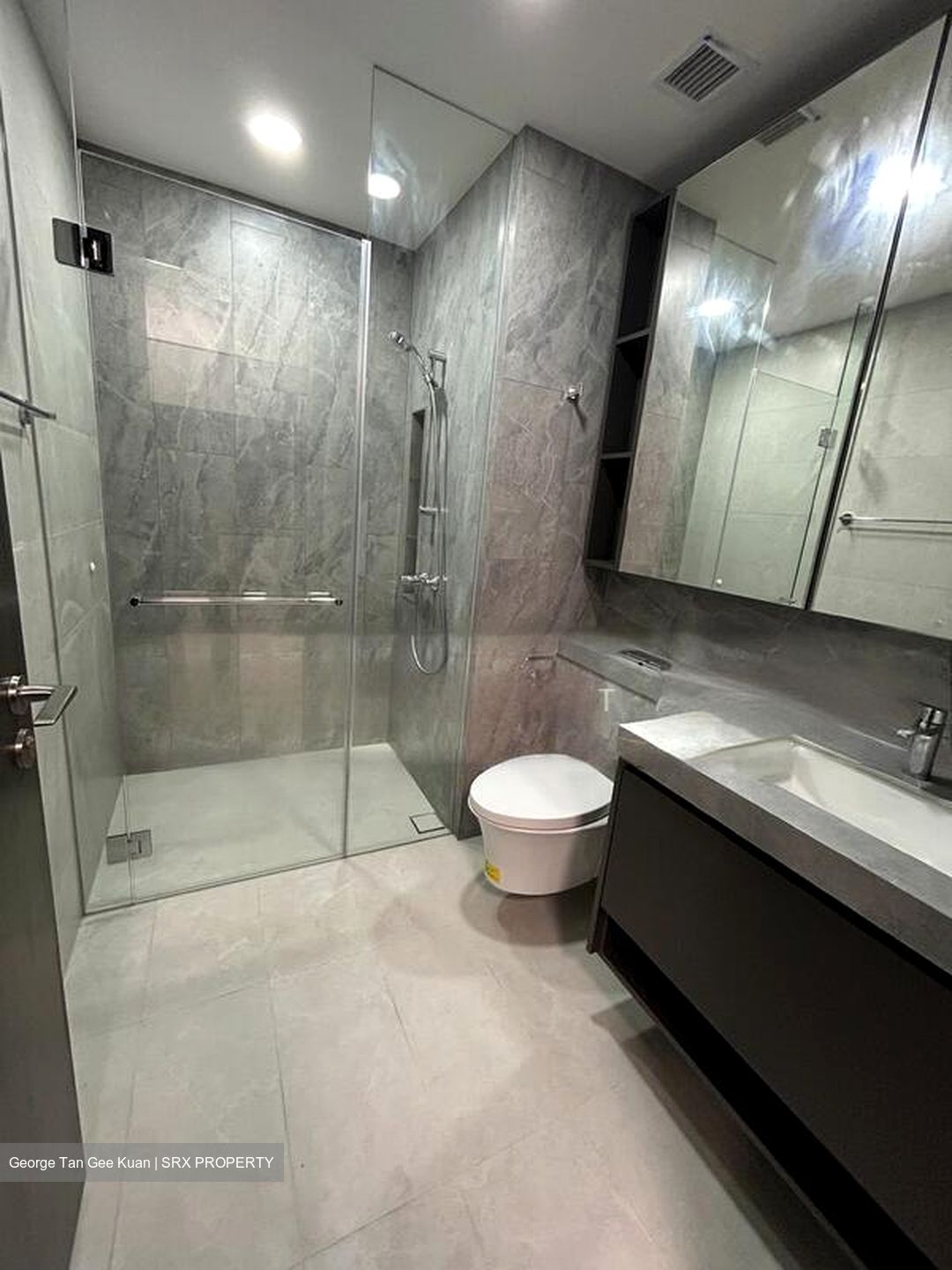 Parc Clematis (D5), Apartment #502877761